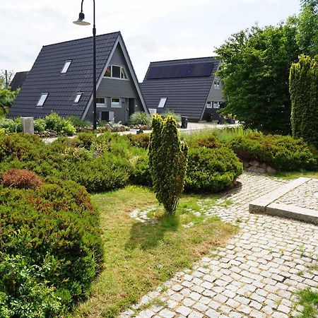 Ferienhaus Mit Viel Platz In Strandnaehe دامب المظهر الخارجي الصورة